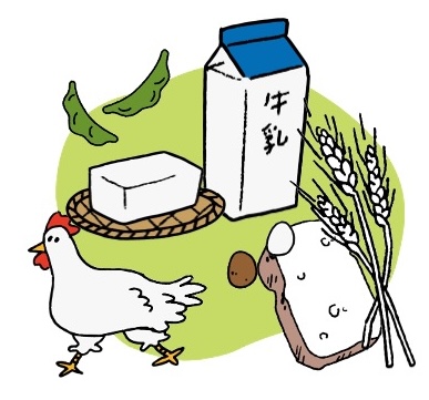 色々な食品